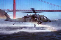 Shark Attacks Navy Helicopter