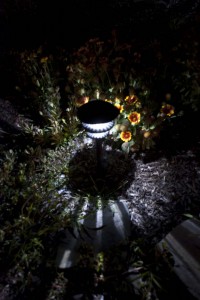 FlowerBed