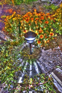 FlowerBedHDR